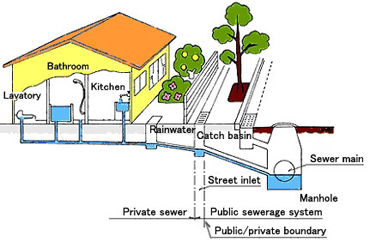 Sewer Line